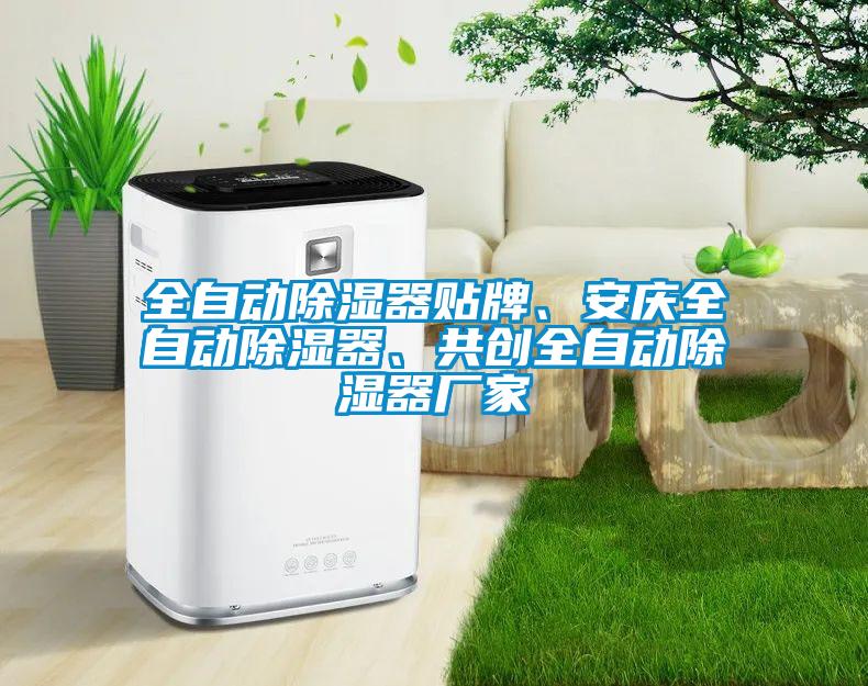 全自動除濕器貼牌、安慶全自動除濕器、共創(chuàng)全自動除濕器廠家