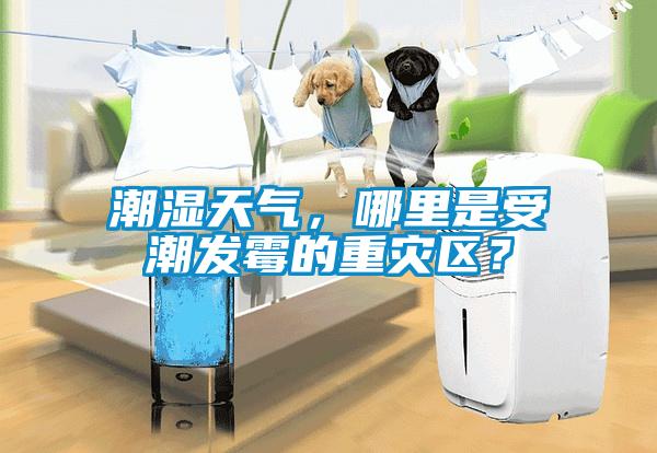 潮濕天氣，哪里是受潮發(fā)霉的重災(zāi)區(qū)？