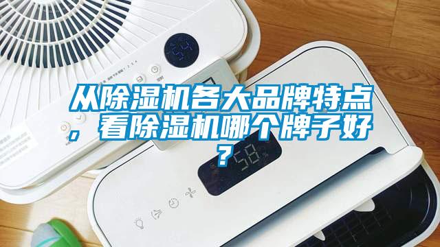 從除濕機各大品牌特點, 看除濕機哪個牌子好？