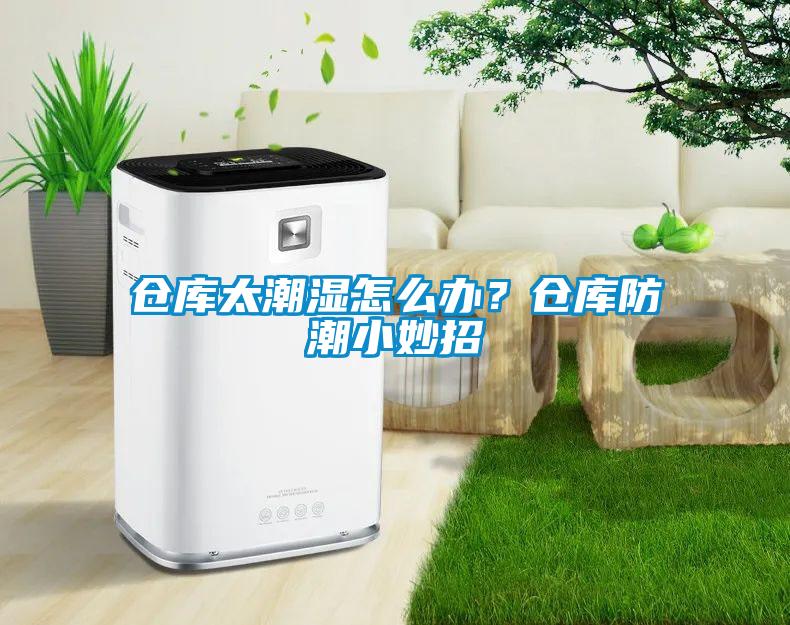 倉(cāng)庫(kù)太潮濕怎么辦？倉(cāng)庫(kù)防潮小妙招