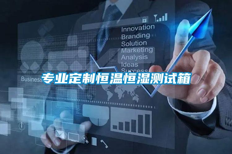專業(yè)定制恒溫恒濕測試箱
