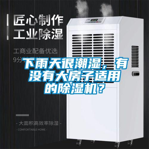下雨天很潮濕，有沒有大房子適用的除濕機？