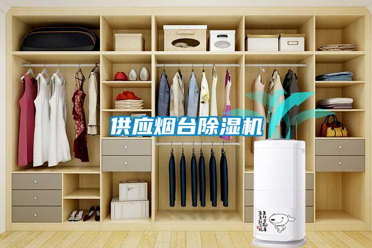 供應(yīng)煙臺(tái)除濕機(jī)