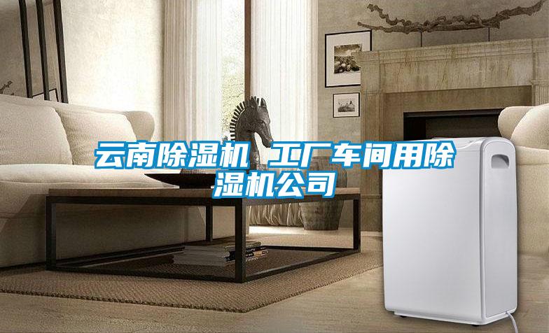 云南除濕機(jī) 工廠車(chē)間用除濕機(jī)公司