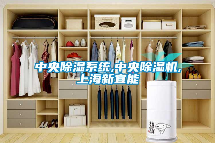 中央除濕系統(tǒng),中央除濕機,上海新宜能