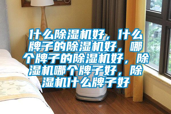 什么除濕機(jī)好，什么牌子的除濕機(jī)好，哪個(gè)牌子的除濕機(jī)好，除濕機(jī)哪個(gè)牌子好，除濕機(jī)什么牌子好