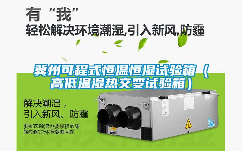 冀州可程式恒溫恒濕試驗箱（高低溫濕熱交變試驗箱）