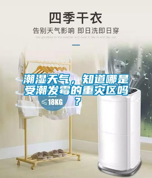 潮濕天氣，知道哪是受潮發(fā)霉的重災(zāi)區(qū)嗎？