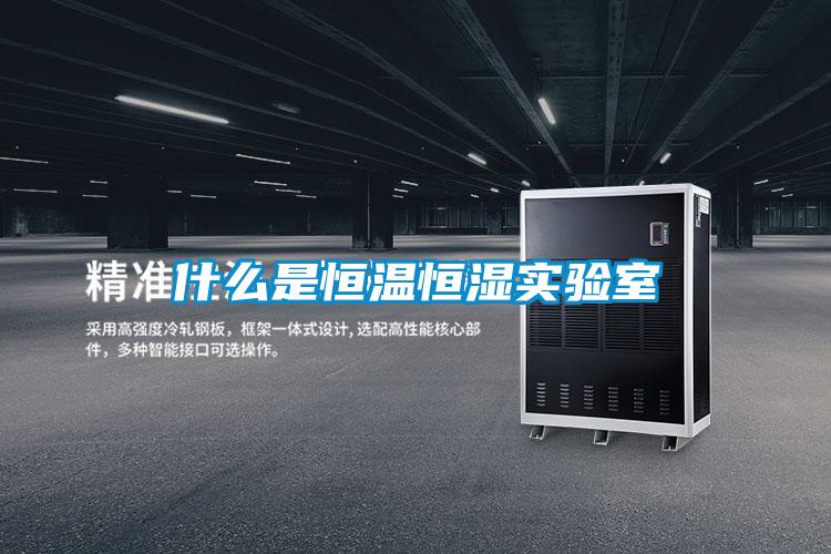 什么是恒溫恒濕實驗室