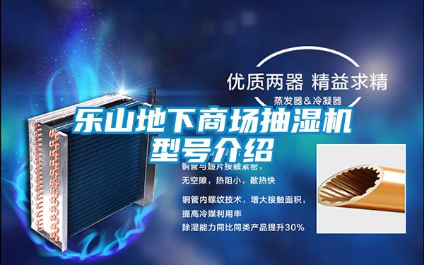 樂(lè)山地下商場(chǎng)抽濕機(jī)型號(hào)介紹