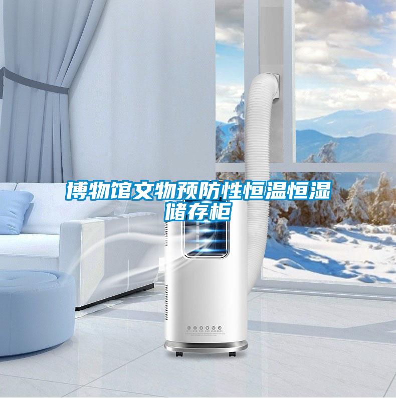 博物館文物預防性恒溫恒濕儲存柜