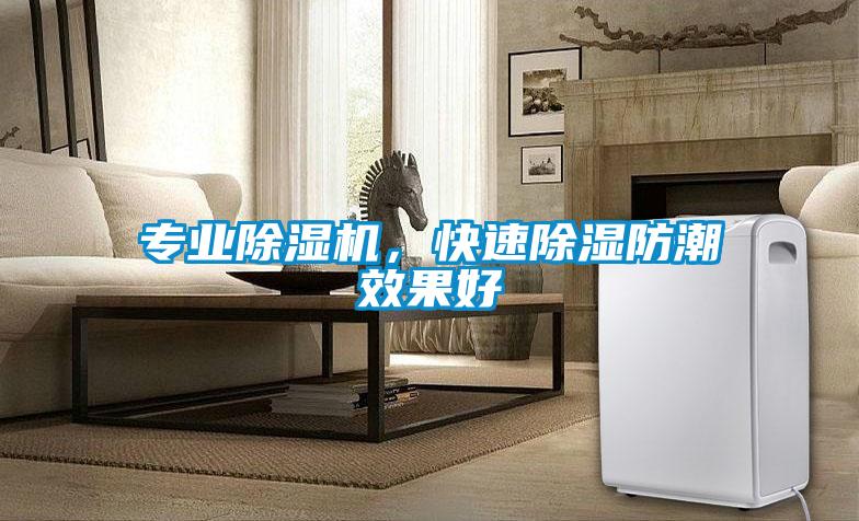 專業(yè)除濕機(jī)，快速除濕防潮效果好