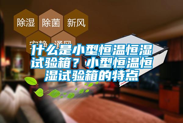 什么是小型恒溫恒濕試驗箱？小型恒溫恒濕試驗箱的特點