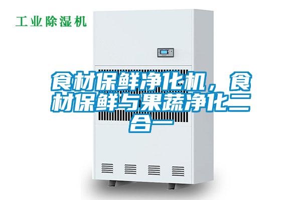 食材保鮮凈化機(jī)，食材保鮮與果蔬凈化二合一