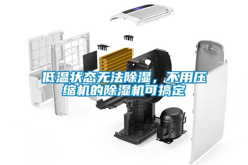 低溫狀態(tài)無(wú)法除濕，不用壓縮機(jī)的除濕機(jī)可搞定
