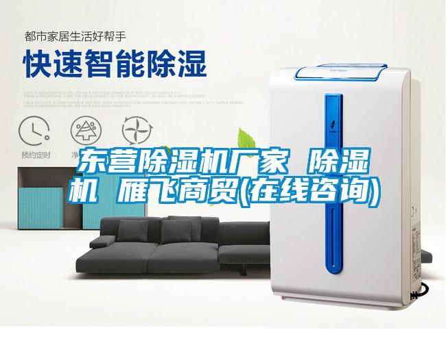 東營(yíng)除濕機(jī)廠家 除濕機(jī) 雁飛商貿(mào)(在線咨詢(xún))