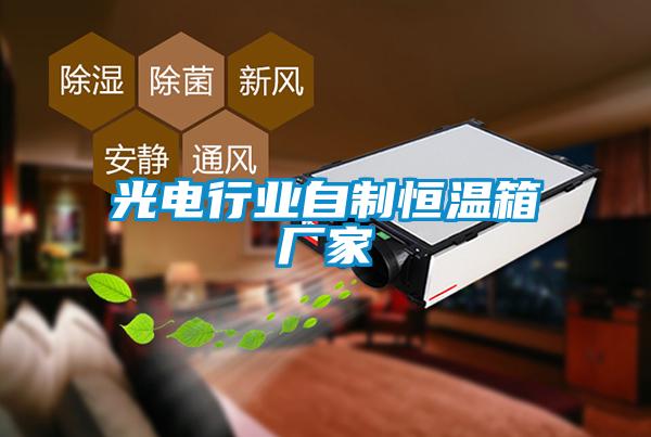 光電行業(yè)自制恒溫箱廠家