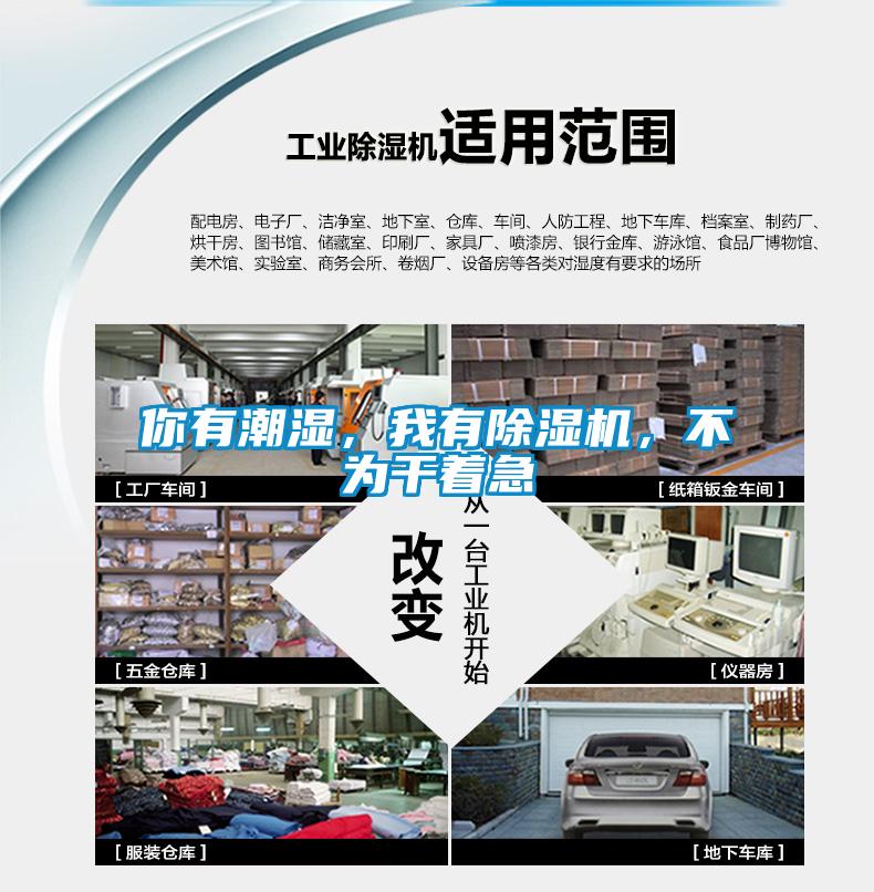 你有潮濕，我有除濕機，不為干著急