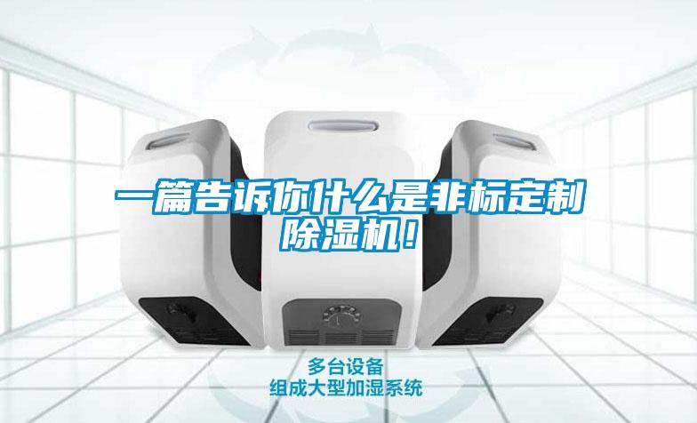 一篇告訴你什么是非標(biāo)定制除濕機(jī)！