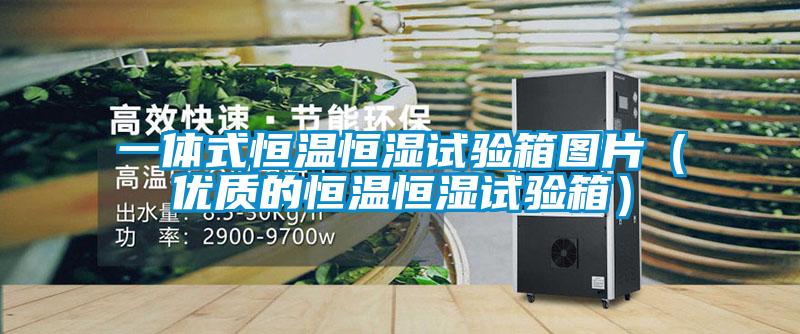 一體式恒溫恒濕試驗箱圖片（優(yōu)質(zhì)的恒溫恒濕試驗箱）