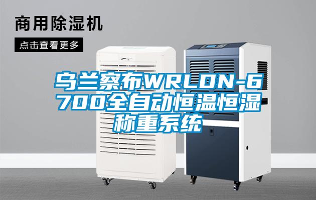烏蘭察布WRLDN-6700全自動恒溫恒濕稱重系統(tǒng)
