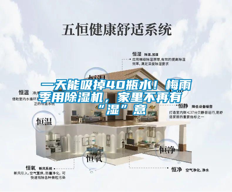 一天能吸掉40瓶水！梅雨季用除濕機，家里不再有“濕”意