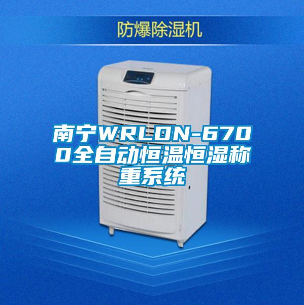 南寧WRLDN-6700全自動(dòng)恒溫恒濕稱重系統(tǒng)