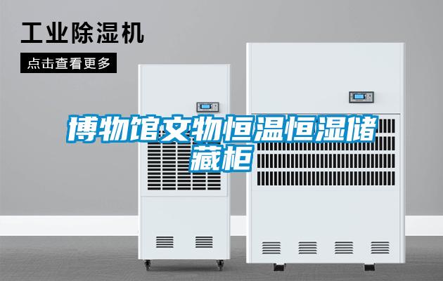 博物館文物恒溫恒濕儲藏柜