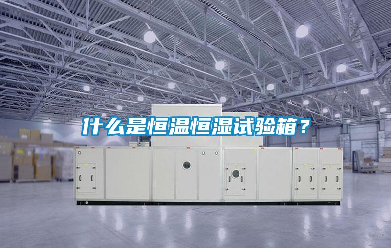 什么是恒溫恒濕試驗(yàn)箱？
