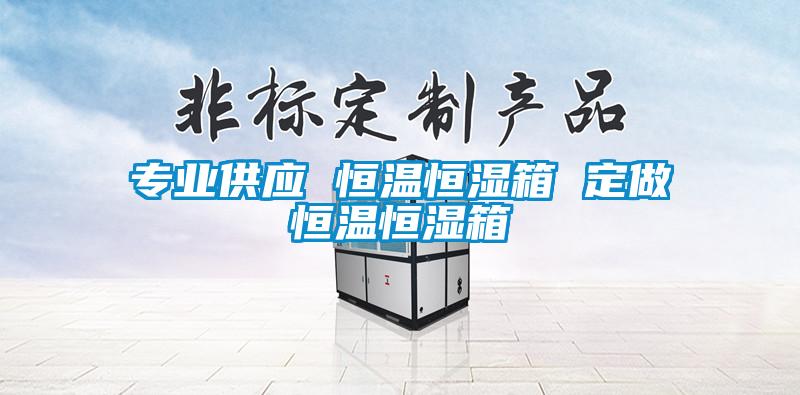 專業(yè)供應 恒溫恒濕箱 定做恒溫恒濕箱