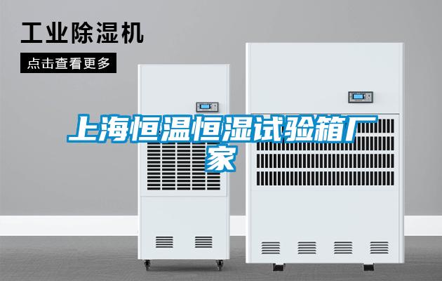 上海恒溫恒濕試驗箱廠家