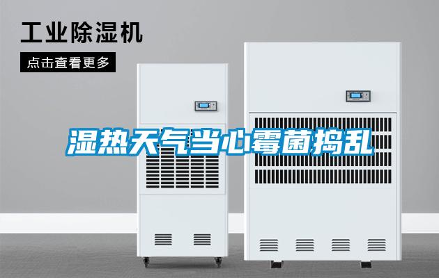 濕熱天氣當(dāng)心霉菌搗亂