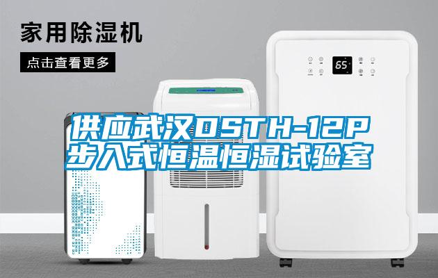 供應(yīng)武漢DSTH-12P步入式恒溫恒濕試驗(yàn)室