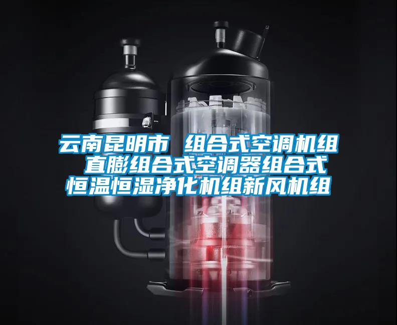 云南昆明市 組合式空調(diào)機(jī)組 直膨組合式空調(diào)器組合式恒溫恒濕凈化機(jī)組新風(fēng)機(jī)組