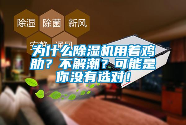 為什么除濕機用著雞肋？不解潮？可能是你沒有選對！
