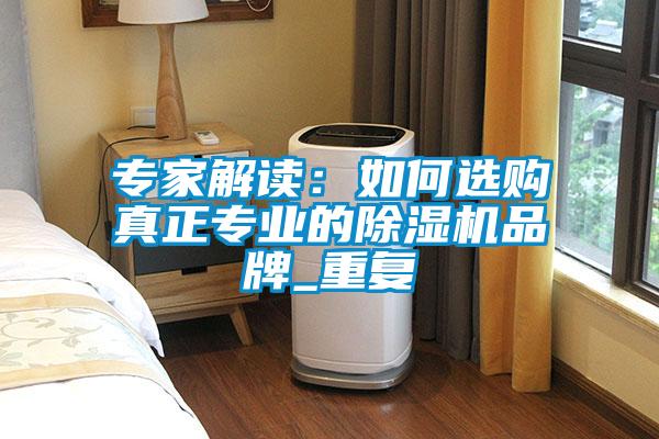 專家解讀：如何選購(gòu)真正專業(yè)的除濕機(jī)品牌_重復(fù)