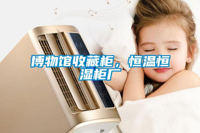 博物館收藏柜，恒溫恒濕柜廠