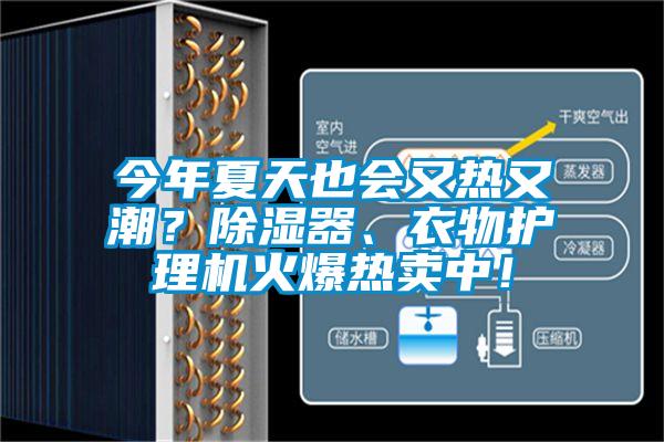 今年夏天也會又熱又潮？除濕器、衣物護理機火爆熱賣中！