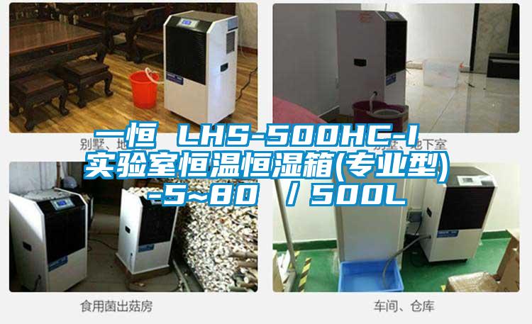 一恒 LHS-500HC-I 實驗室恒溫恒濕箱(專業(yè)型) -5~80℃／500L