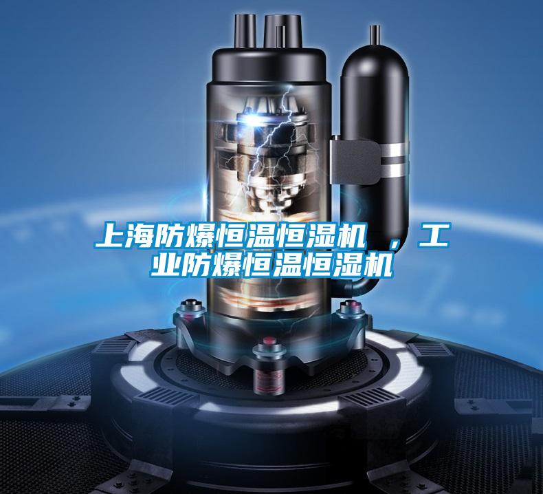 上海防爆恒溫恒濕機 ，工業(yè)防爆恒溫恒濕機