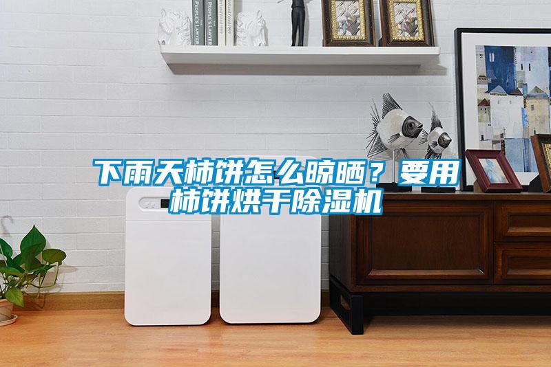 下雨天柿餅怎么晾曬？要用柿餅烘干除濕機