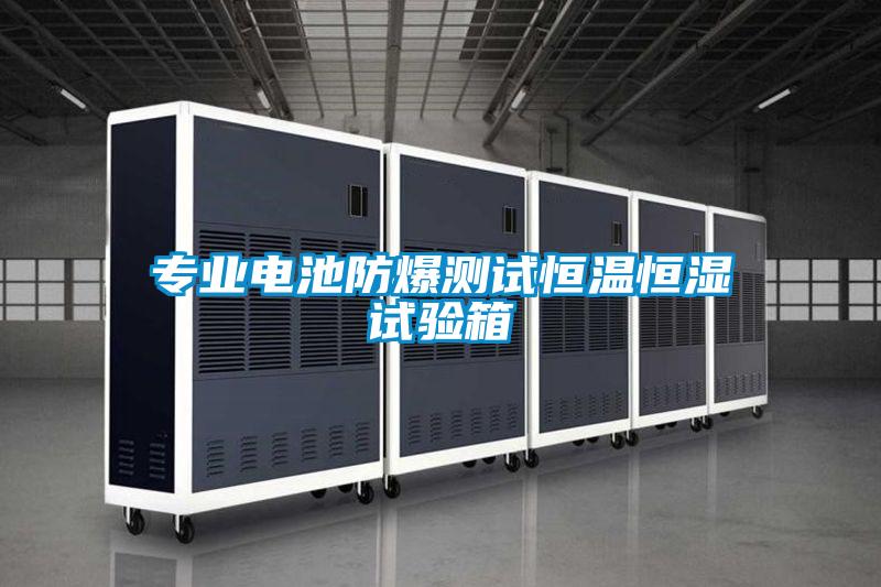 專業(yè)電池防爆測試恒溫恒濕試驗(yàn)箱