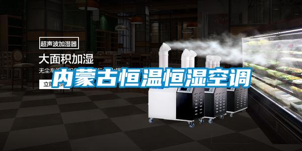 內(nèi)蒙古恒溫恒濕空調(diào)