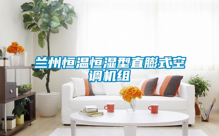 蘭州恒溫恒濕型直膨式空調(diào)機(jī)組