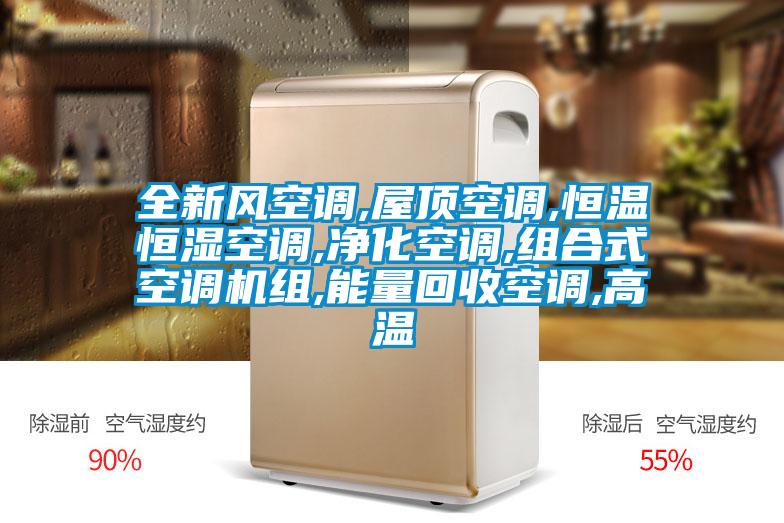 全新風(fēng)空調(diào),屋頂空調(diào),恒溫恒濕空調(diào),凈化空調(diào),組合式空調(diào)機(jī)組,能量回收空調(diào),高溫