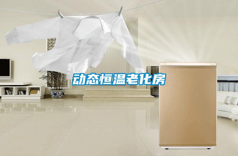 動(dòng)態(tài)恒溫老化房