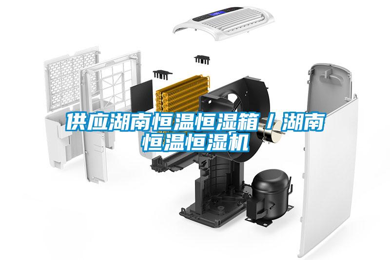 供應(yīng)湖南恒溫恒濕箱／湖南恒溫恒濕機(jī)
