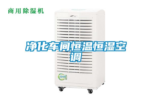 凈化車(chē)間恒溫恒濕空調(diào)