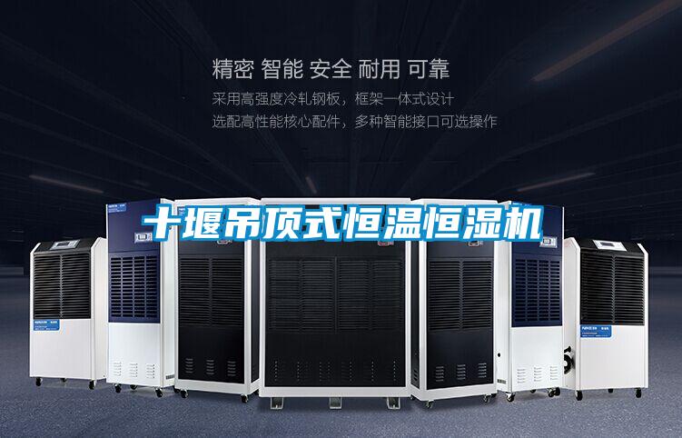 十堰吊頂式恒溫恒濕機(jī)