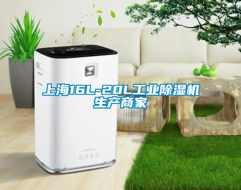 上海16L-20L工業(yè)除濕機生產(chǎn)商家